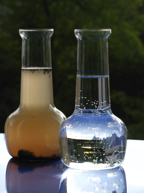 Beakers of clean and dirty water