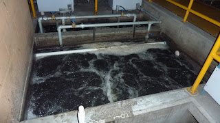 Water Treatment Trapzilla